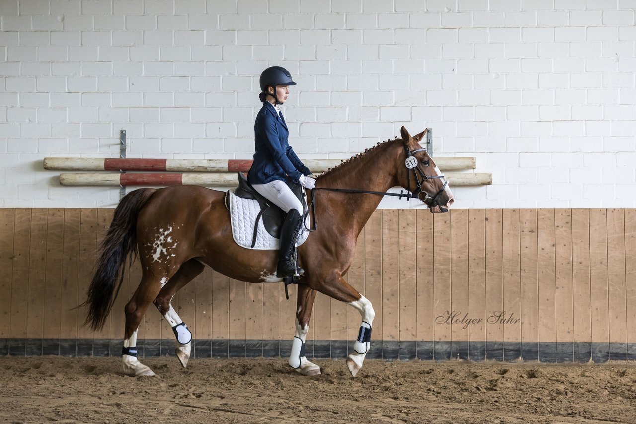 Bild 17 - Pony Akademie Turnier